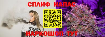 бошки Тверь