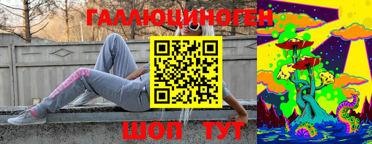 Галлюциногенные грибы Psilocybe Новозыбков