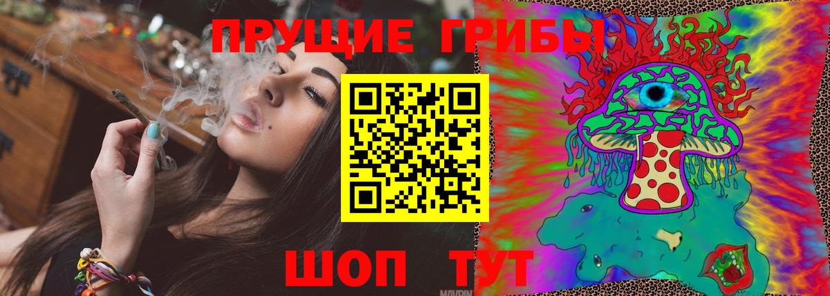 Новозыбков  Псилоцибиновые грибы GOLDEN TEACHER  Псилоцибиновые грибы GOLDEN TEACHER  Вход с VPN 
