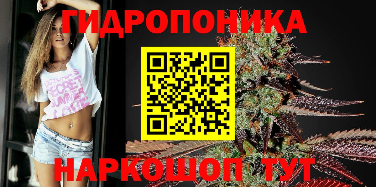 Шишки марихуана сатива  Бошки марихуана OG Kush  Новозыбков  Вход с VPN  Каннабис гибрид 