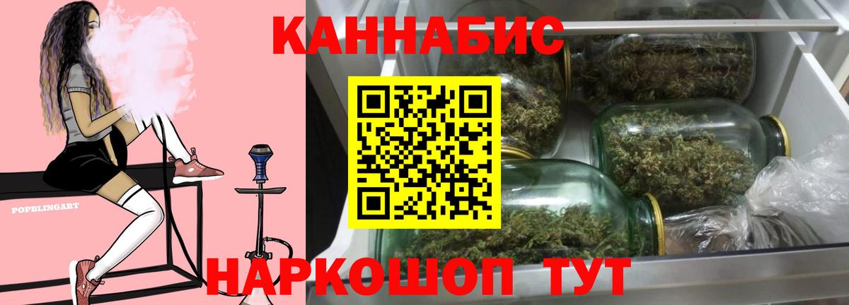 Каннабис сатива Новозыбков